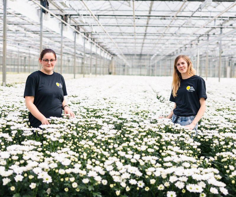 Productie medewerker (bloemen)