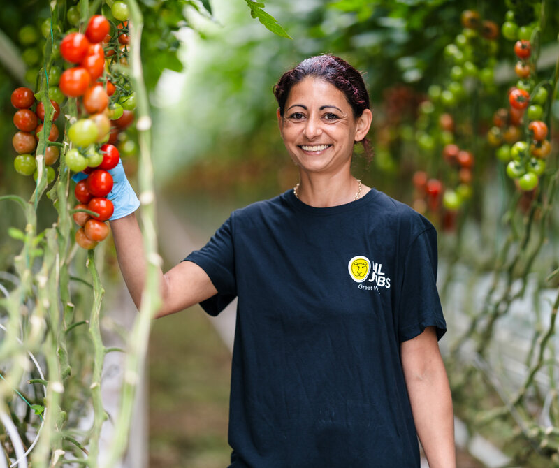 Muncitor în producție (agricultură)