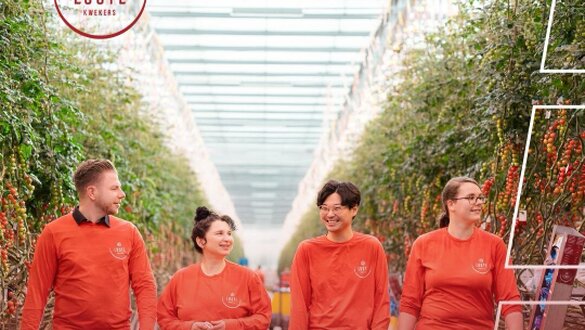 (ENG) Production Leader – Looye