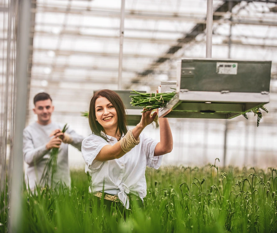 Production worker (flowers)
