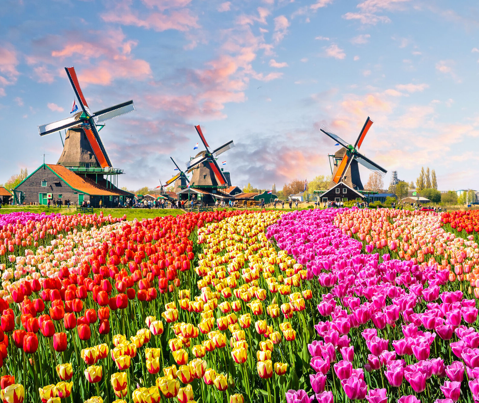 About the Netherlands
